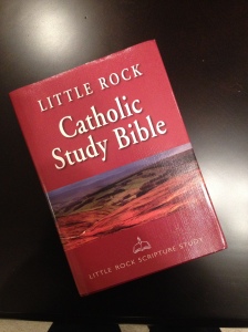 Jag fick den här Bibeln av Karen som en gåva efter Rite of Acceptance. Den innehåller många historiska förklaringar till texterna och är utvecklad just i Little Rock men används av Katoliker i hela USA